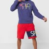 Pánská mikina s kapucí Ralph Lauren Logo navy