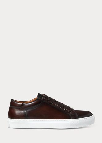 Tmavě hnědé pánské tenisky Ralph Lauren Severn leštěné z telecí kůže